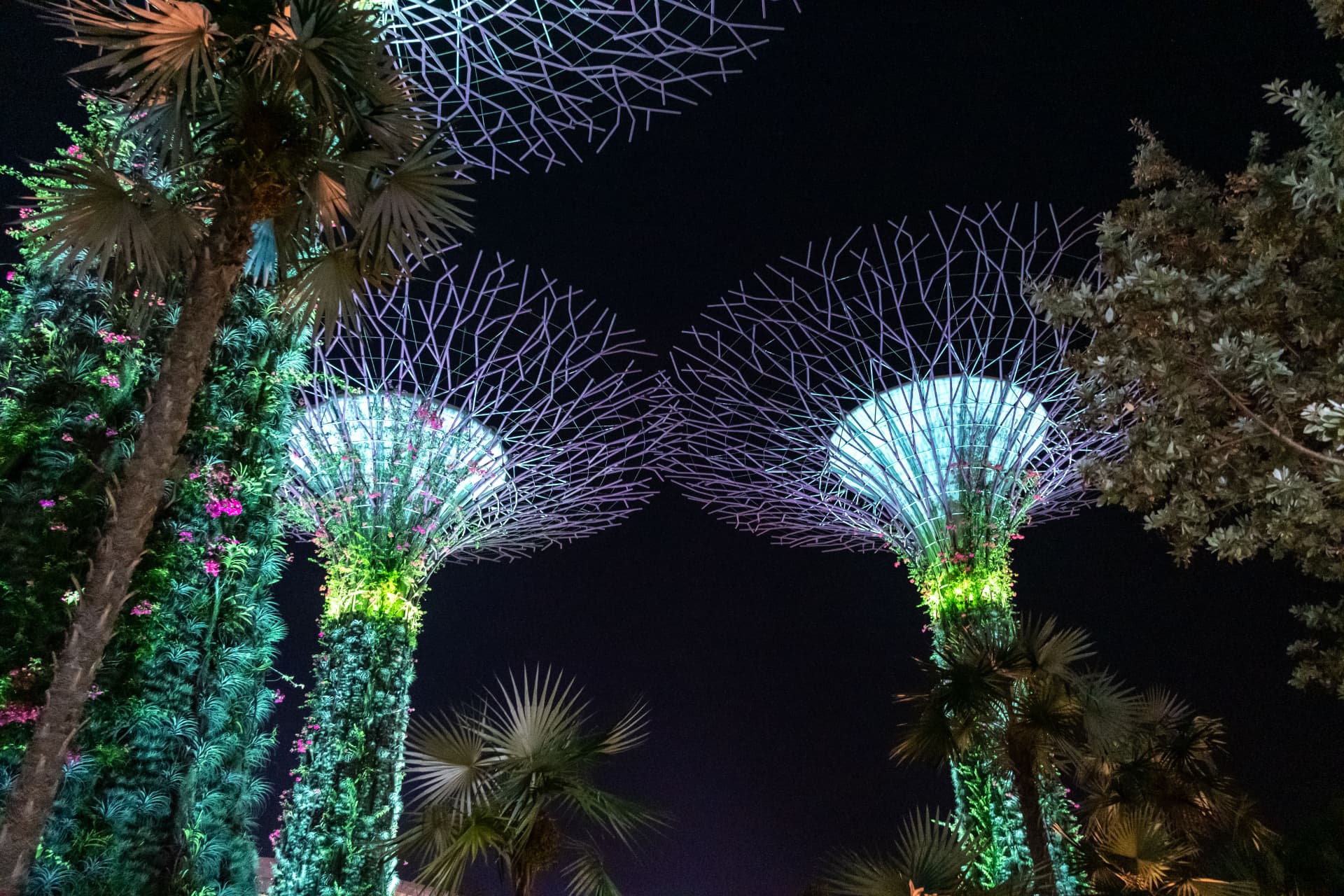 SINGAPORE destination photography